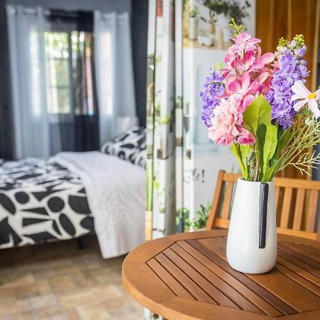 Dos Morenas Apartments - Apt 3 Bajo Boquete Dış mekan fotoğraf