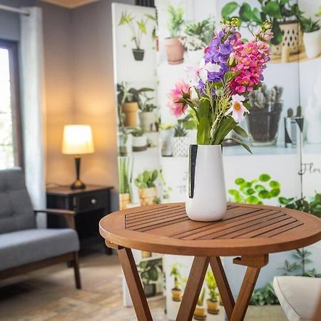 Dos Morenas Apartments - Apt 3 Bajo Boquete Dış mekan fotoğraf
