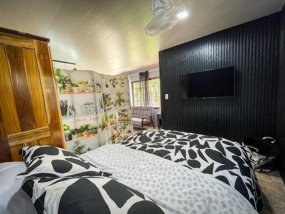 Dos Morenas Apartments - Apt 3 Bajo Boquete Dış mekan fotoğraf