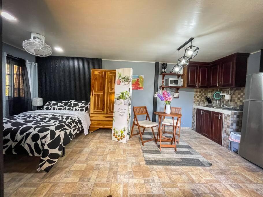 Dos Morenas Apartments - Apt 3 Bajo Boquete Dış mekan fotoğraf