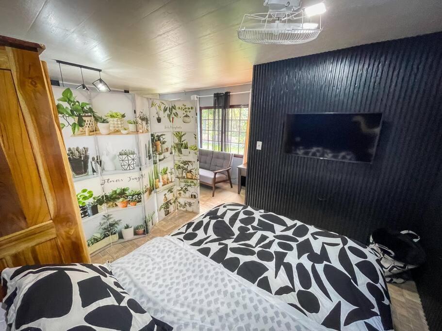 Dos Morenas Apartments - Apt 3 Bajo Boquete Dış mekan fotoğraf