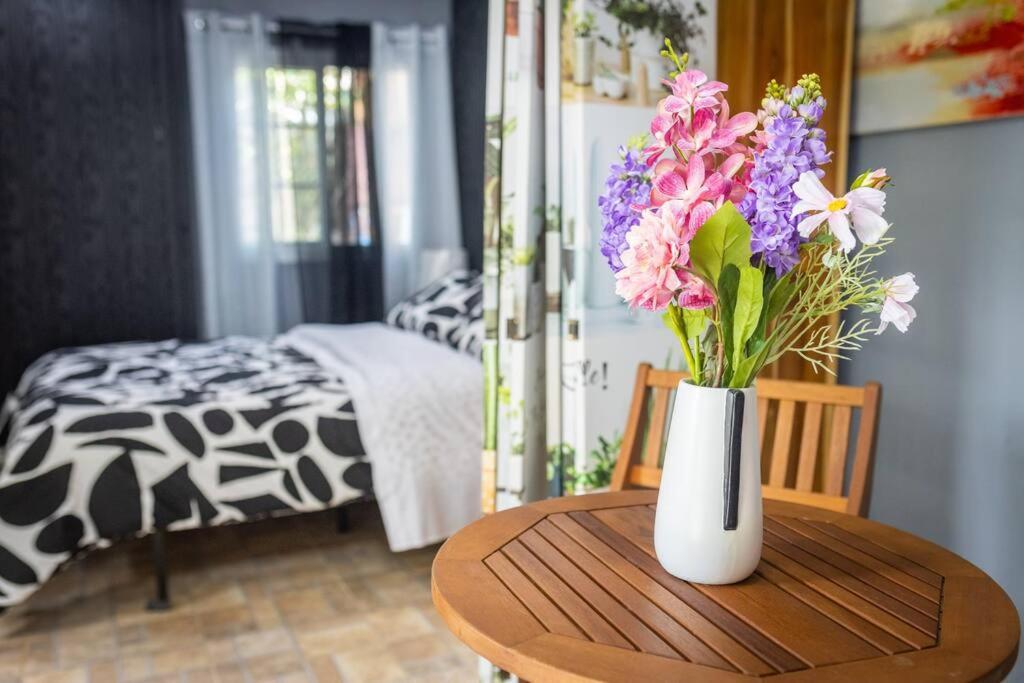 Dos Morenas Apartments - Apt 3 Bajo Boquete Dış mekan fotoğraf