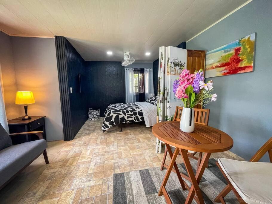 Dos Morenas Apartments - Apt 3 Bajo Boquete Dış mekan fotoğraf