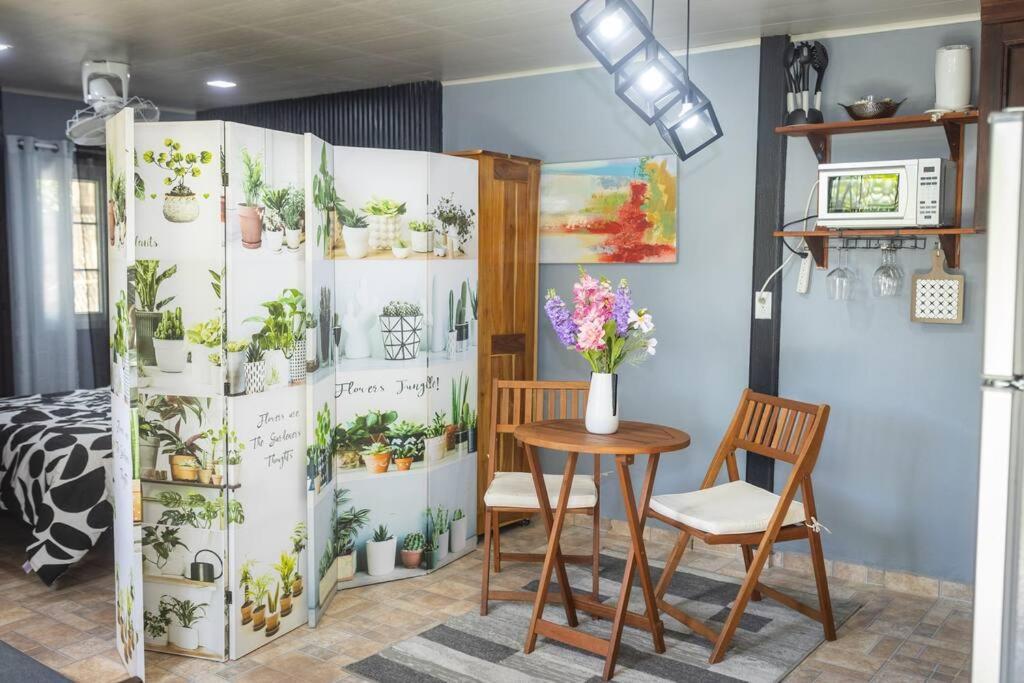 Dos Morenas Apartments - Apt 3 Bajo Boquete Dış mekan fotoğraf