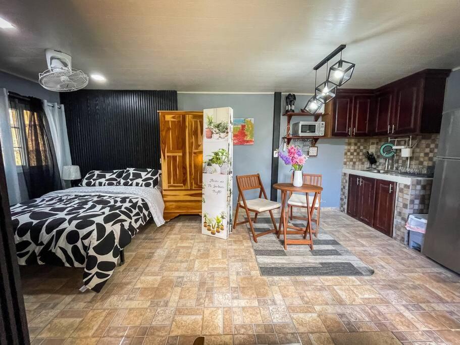 Dos Morenas Apartments - Apt 3 Bajo Boquete Dış mekan fotoğraf